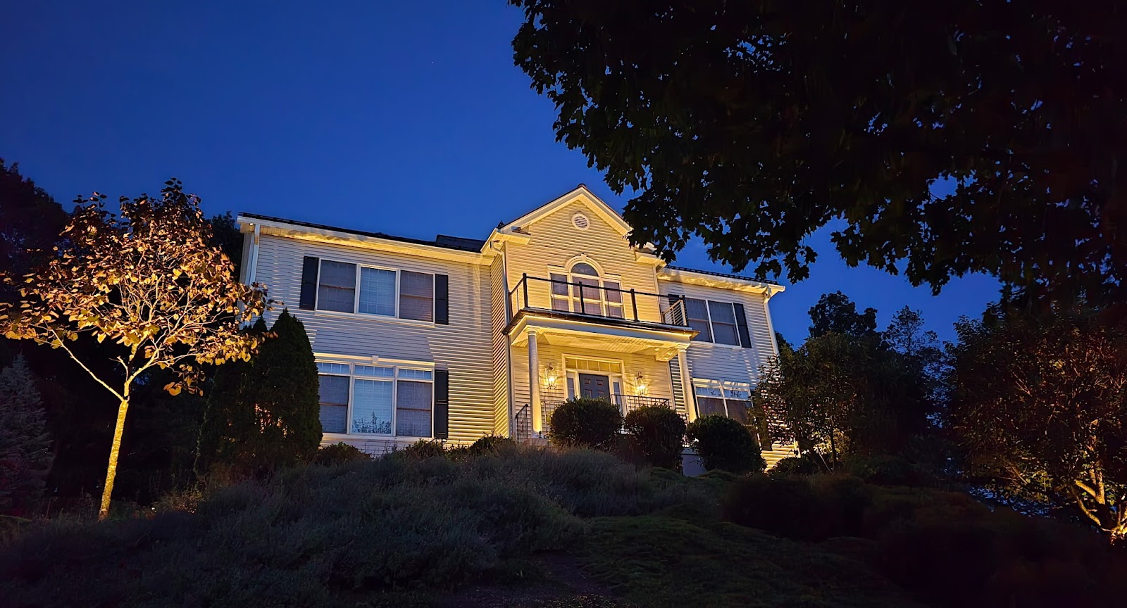 A house and surrounding planting illuminated at dusk